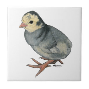 Azulejo Poult Blue Slate de Turquía