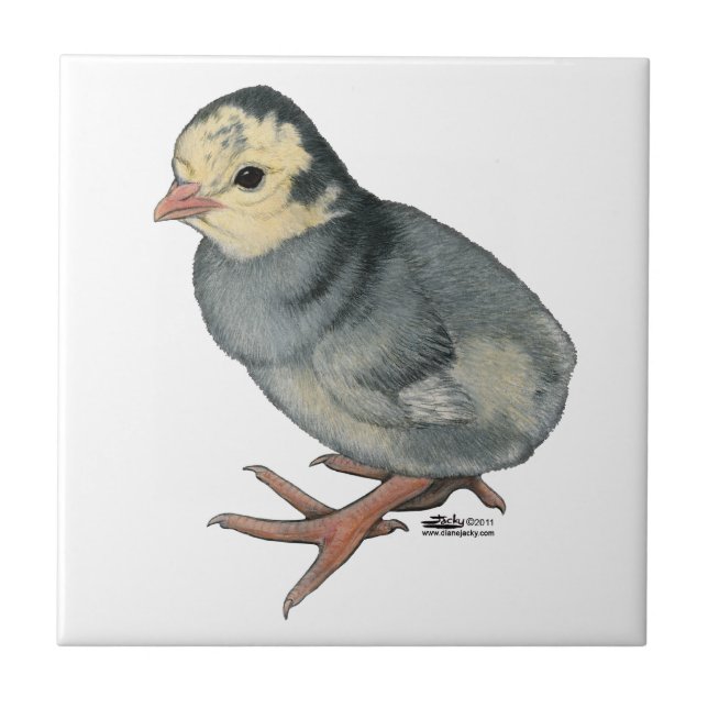 Azulejo Poult Blue Slate de Turquía (Frente)