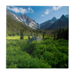 Azulejo Prado y Mt. Stuart