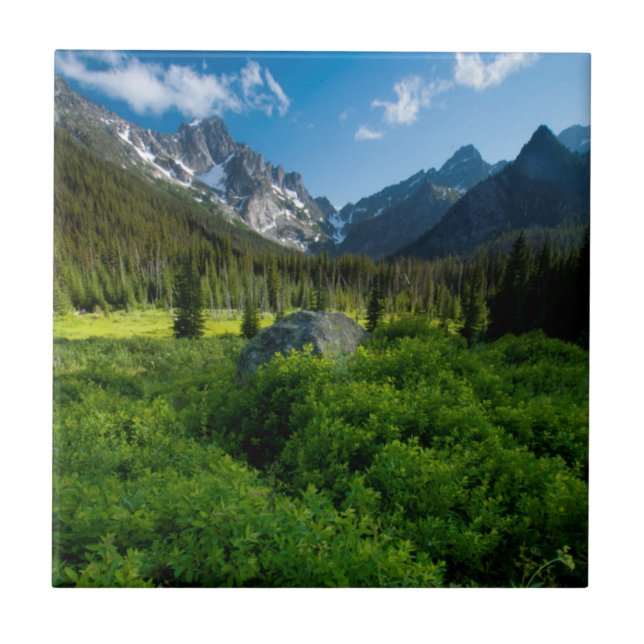 Azulejo Prado y Mt. Stuart (Frente)