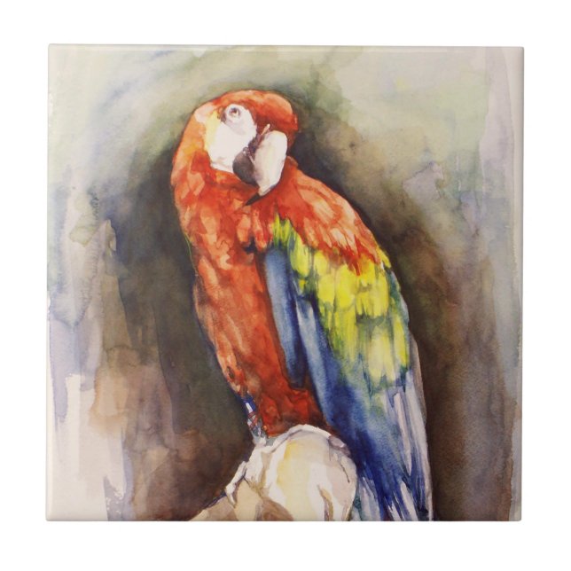 Azulejo Precious Parrot Tile (Frente)