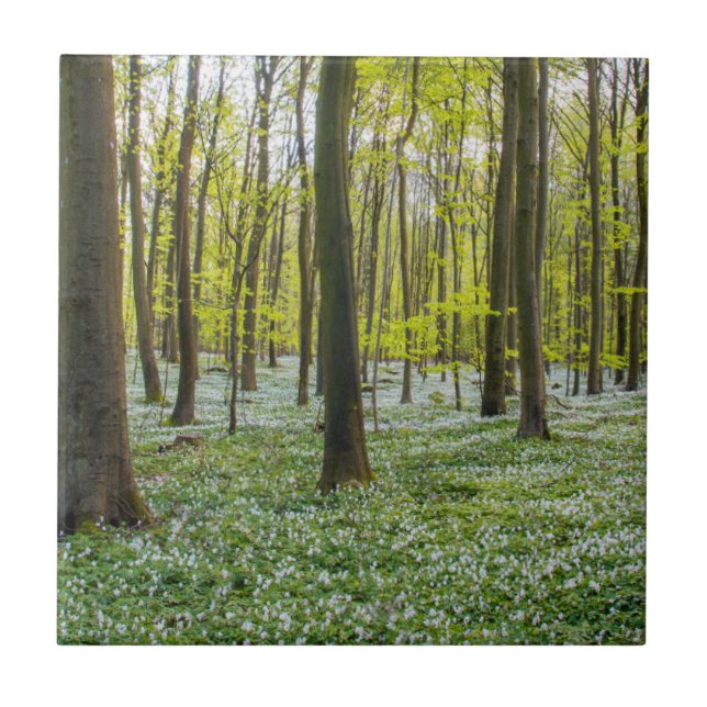 Azulejo Primavera a la vida (Frente)