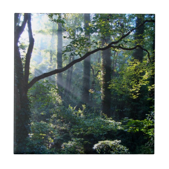 Azulejo Primer mosaico decorativo claro (Frente)