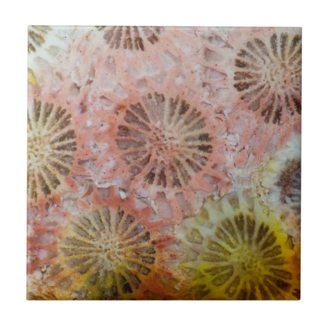 Azulejo Primer plano de coral rosa (Frente)