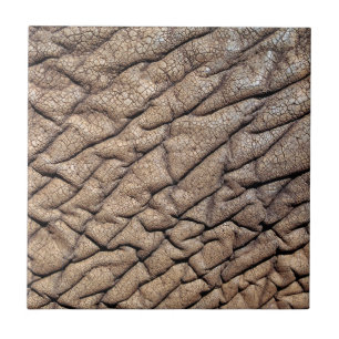 Azulejo Primer plano de la piel de un elefante africano