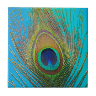 Azulejo Primer plano de pluma de pavo real