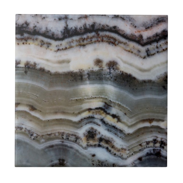 Azulejo Primer plano de un ónix de encaje plateado (Frente)