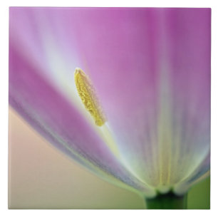 Azulejo Primer plano del envés de la flor de tulipán, Kuek