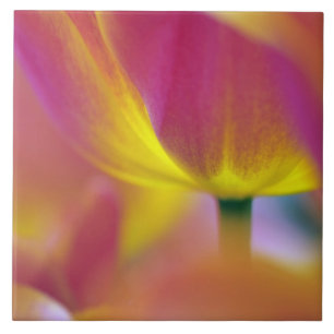 Azulejo Primer plano del envés de la flor de tulipán, Kuek