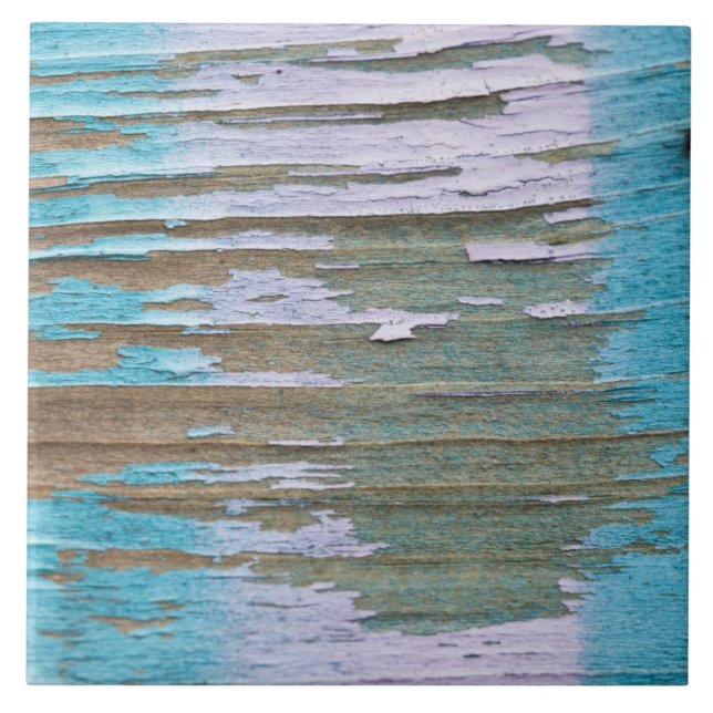 Azulejo Primers 2 de la pintada (Frente)