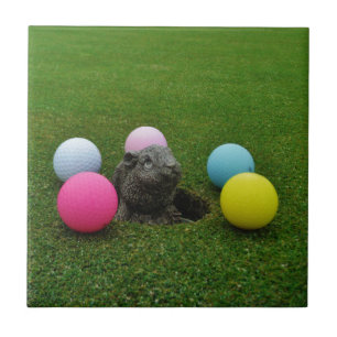 Azulejo Producto personalizar