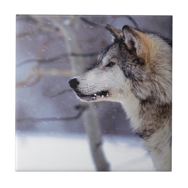 Azulejo Productos fornidos negros del perro (Frente)