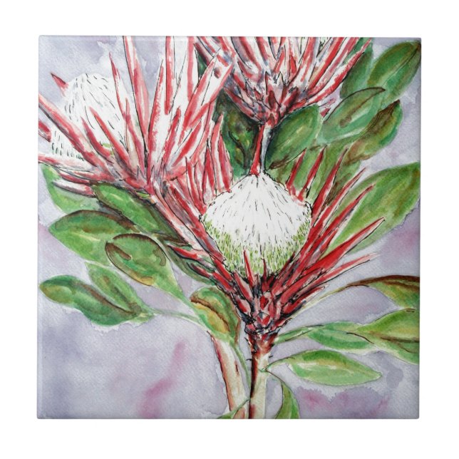 Azulejo Proteínas (Frente)