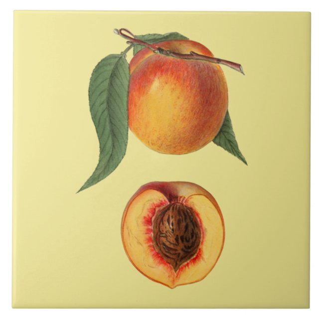 Azulejo Prunus Persica Peach~Botanica ~Kitchen ~Cualquier  (Frente)