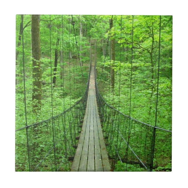 Azulejo Puente colgante (Frente)