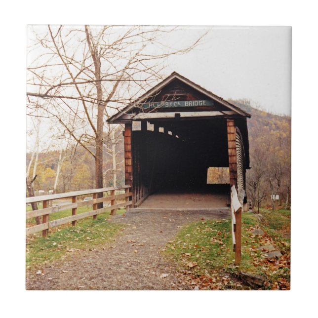 Azulejo Puente cubierto (Frente)
