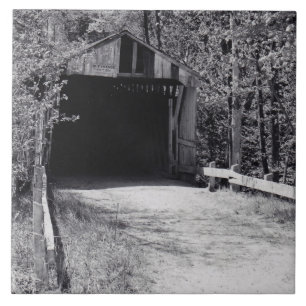 Azulejo Puente cubierto