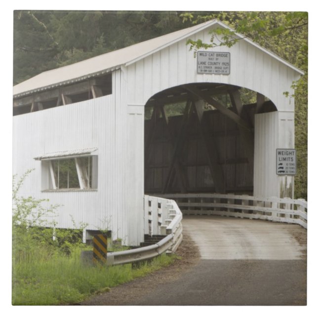 Azulejo Puente cubierto de gato silvestre, condado de Lane (Frente)