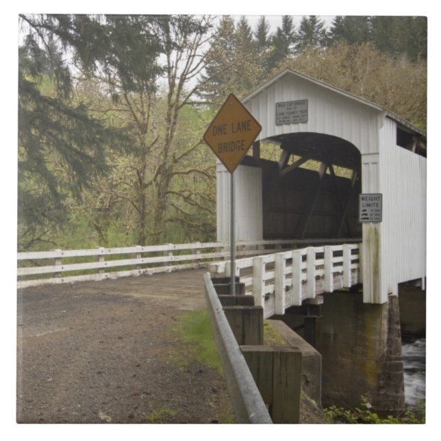 Azulejo Puente cubierto de gato silvestre, condado de Lane (Frente)