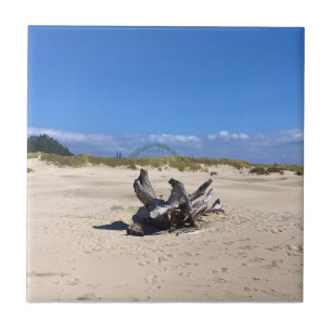 Azulejo Puente de la Bahía Yaquina, Newport, Oregón