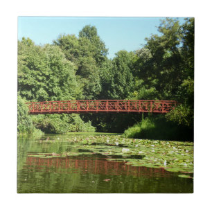 Azulejo Puente en el lago Centennial en la ciudad de Ellic