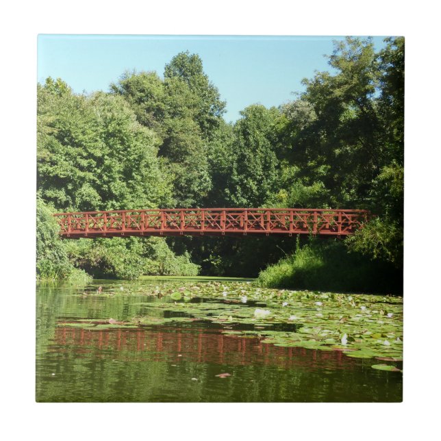 Azulejo Puente en el lago Centennial en la ciudad de Ellic (Frente)