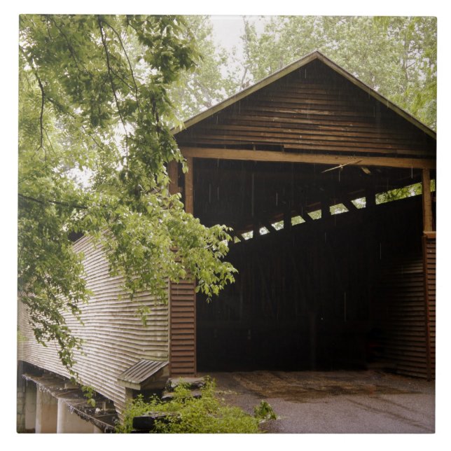 Azulejo Puente histórico (Frente)