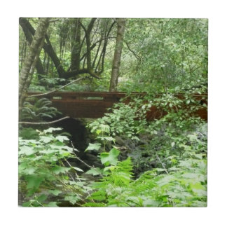 Azulejo Puente Muir Woods I