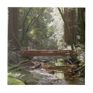 Azulejo Puente Muir Woods II