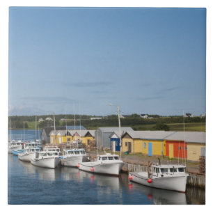 Azulejo Puerto del Lago Norte, Isla Príncipe Eduardo.