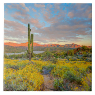 Azulejo Puesta de sol en paisaje desértico