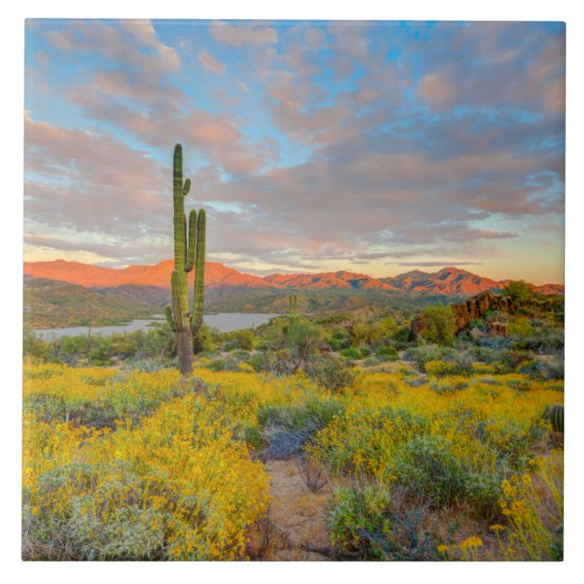 Azulejo Puesta de sol en paisaje desértico (Frente)