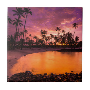 Azulejo Puesta de sol rosa de la playa de Hawái