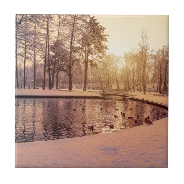 Azulejo Puesta de sol sobre el parque con un pequeño lago  (Frente)