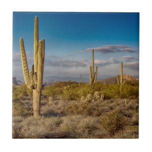 Azulejo Puesta del sol del cactus en Arizona