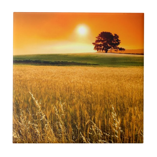 Azulejo Puesta del sol roja sangre (Frente)