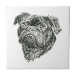 Azulejo Pug