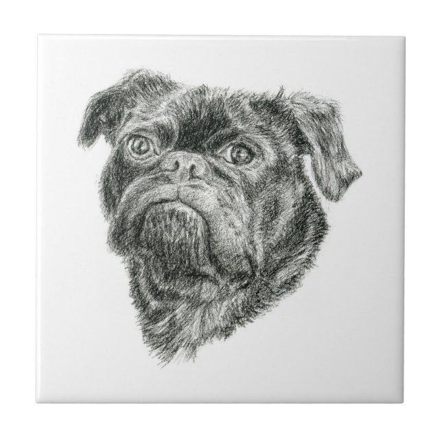Azulejo Pug (Frente)