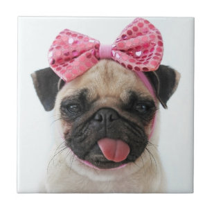 Azulejo Pug con arco rosado
