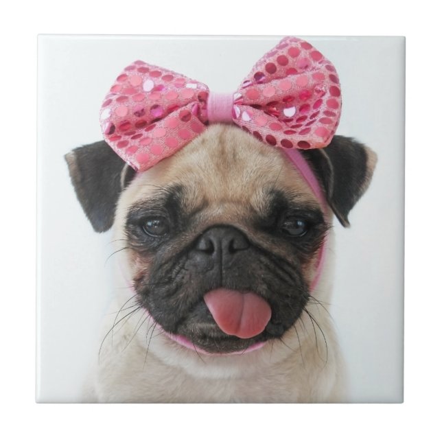 Azulejo Pug con arco rosado (Frente)