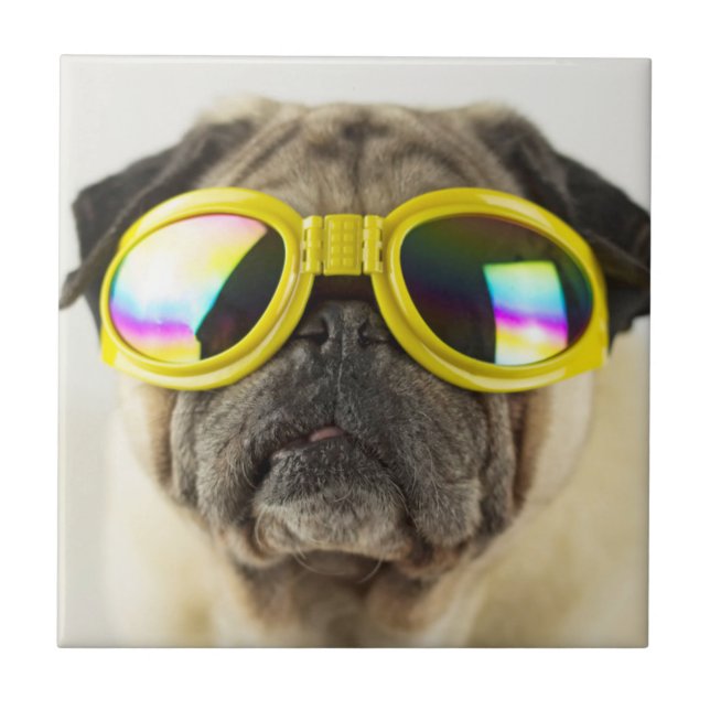 Azulejo Pug con gafas (Frente)