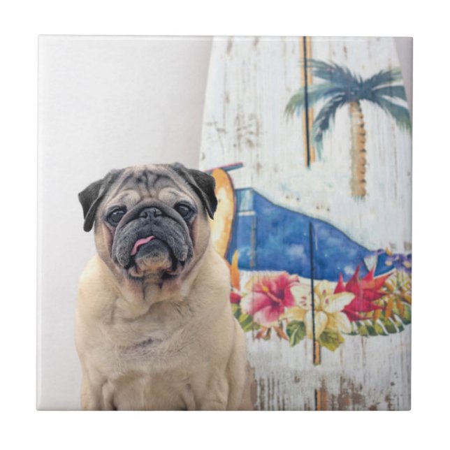 Azulejo Pug de superficie (Frente)