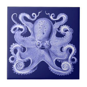 Azulejo Pulpo Azul Náutico Casa de Playa Costera Haeckel