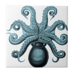 Azulejo Pulpo en trullo
