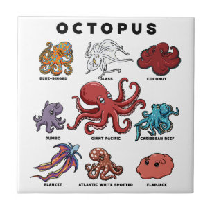 Azulejo Pulpo Kawaii de los Mundos