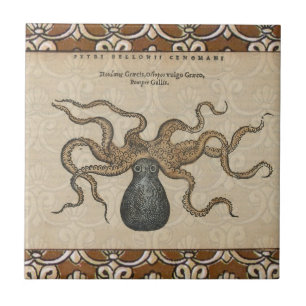Azulejo Pulpo Kraken Antiguo Marino Vida Silvestre Costera