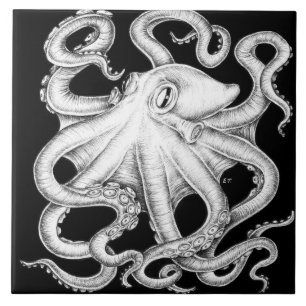 Azulejo Pulpo Tinta Negra Y Blanca