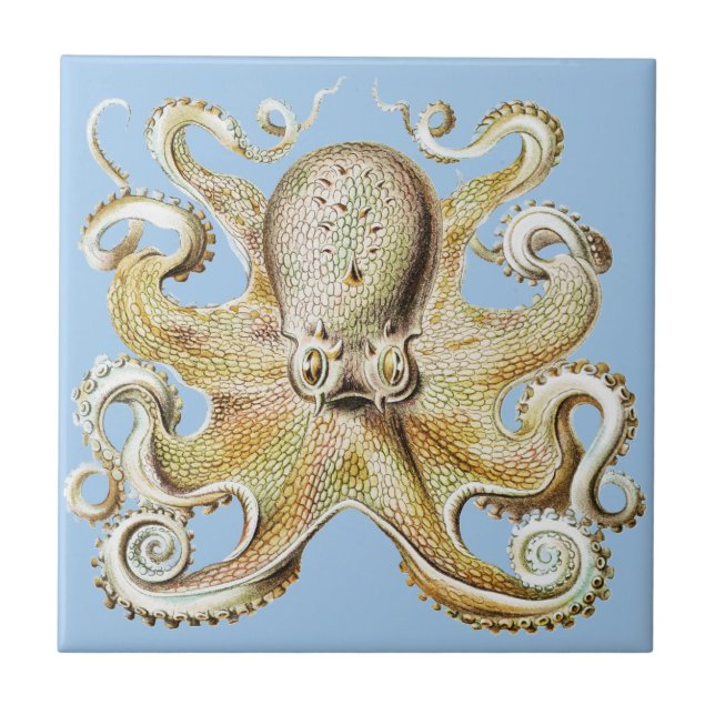 Azulejo Pulpo Vintage Ernst Haeckel Vida Marina Náutica (Frente)