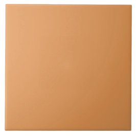Azulejo Pumpkin Spice Color | #E69855
