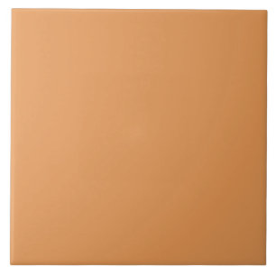 Azulejo Pumpkin Spice Color #E69855